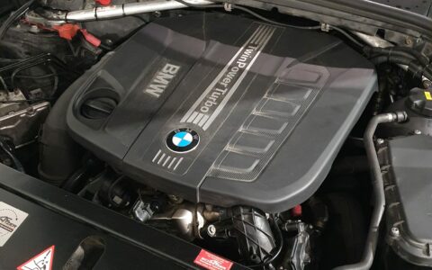 IMG-20220218-WA0039