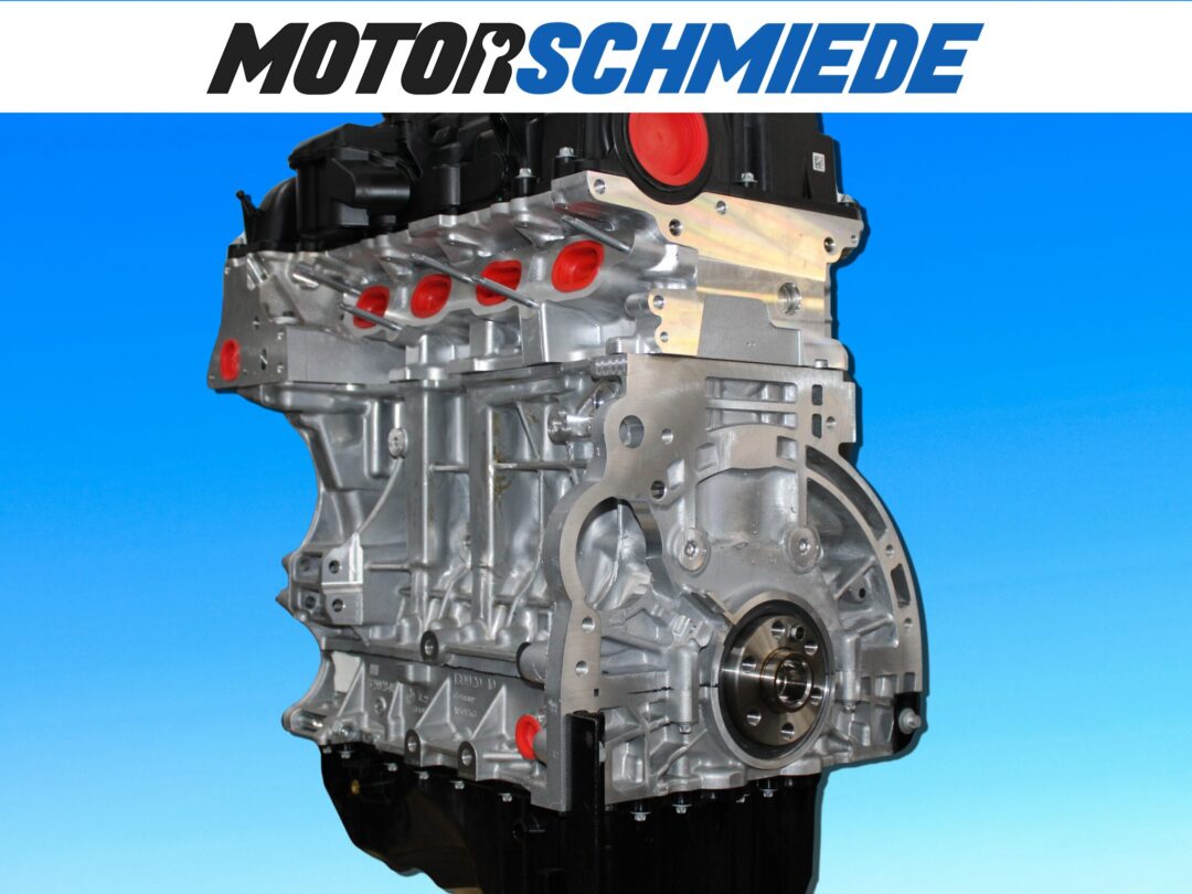 BMW Motor Überholung 316i 318i N42 B20 Revision Revidieren Kosten